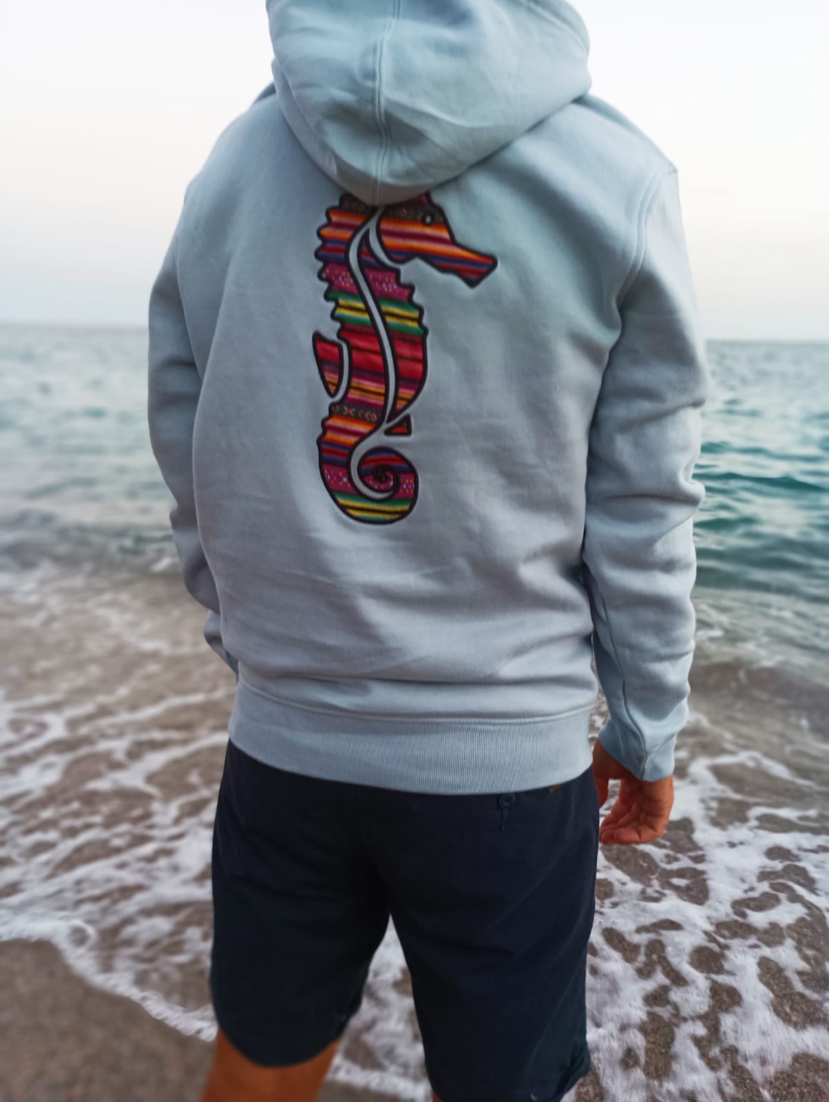Sudadera Fusión