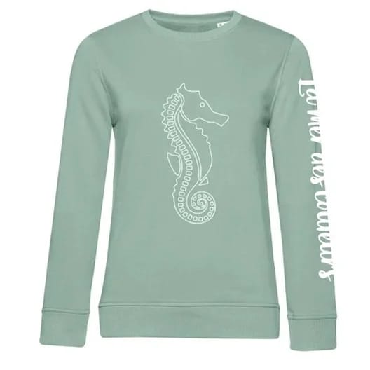 Sudadera La Mer des Couleurs sin capucha - Algodón Orgánico